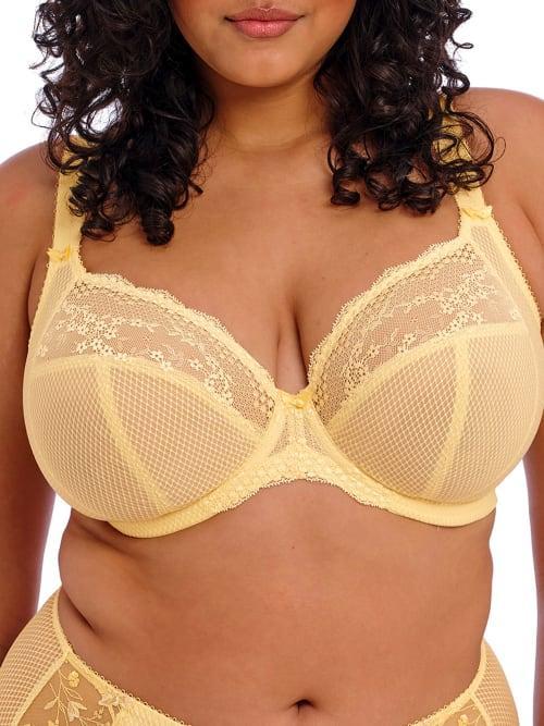 Charley Side Support Plunge Bra Product Image