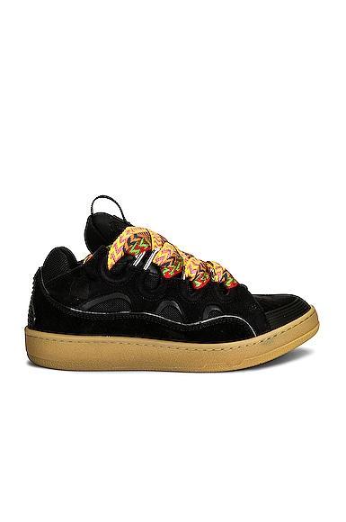 Lanvin Curb Sneaker Product Image