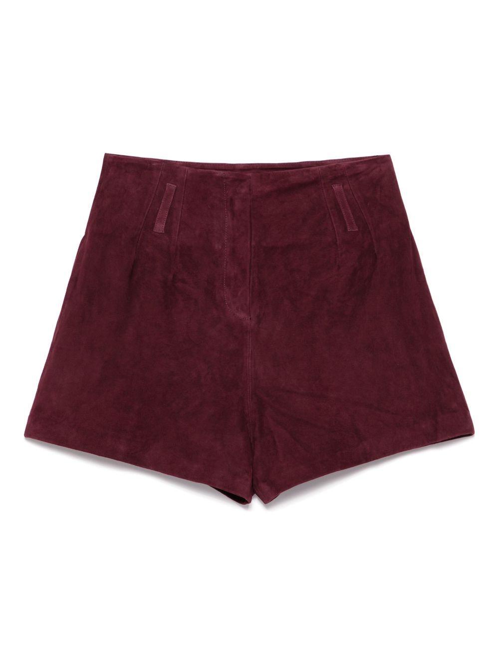 Lise shorts Product Image