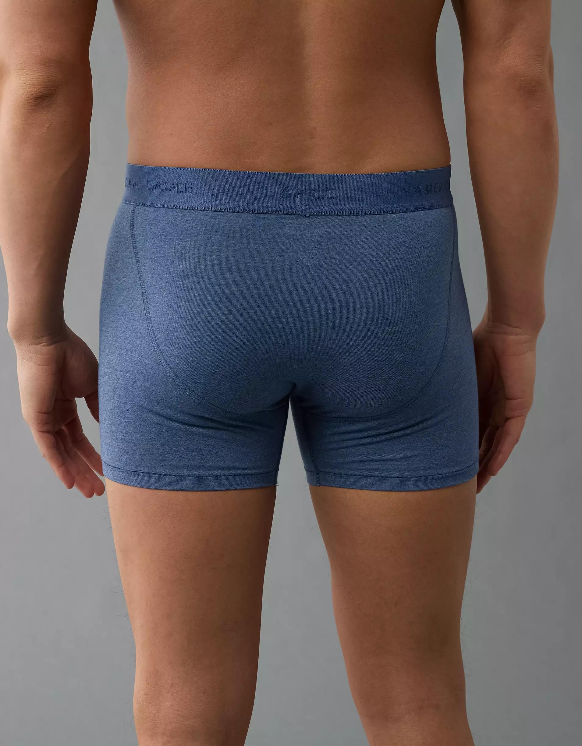 AEO Men's 4.5" Classic Boxer Brief Product Image