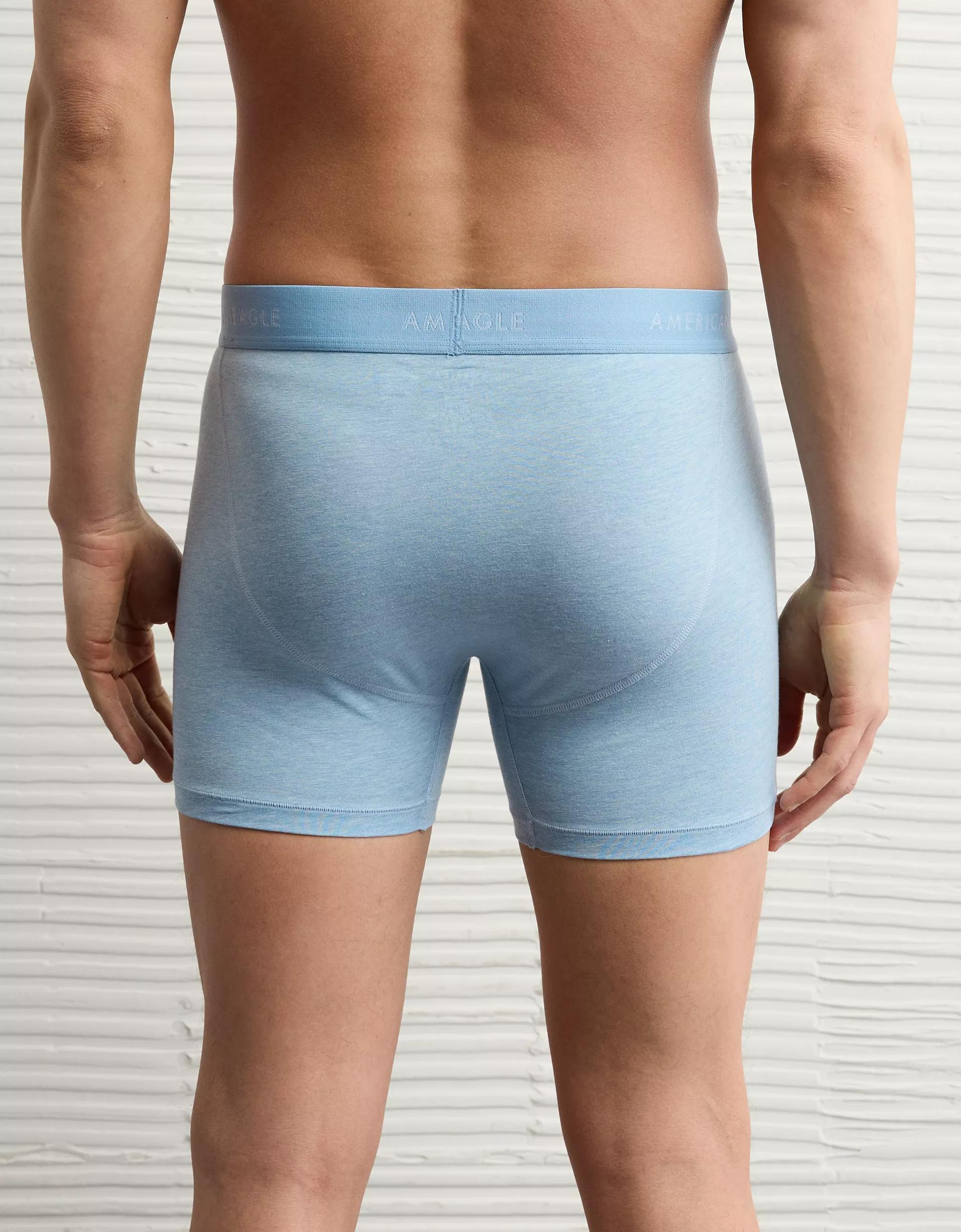 AEO Men's 4.5" Classic Boxer Brief Product Image