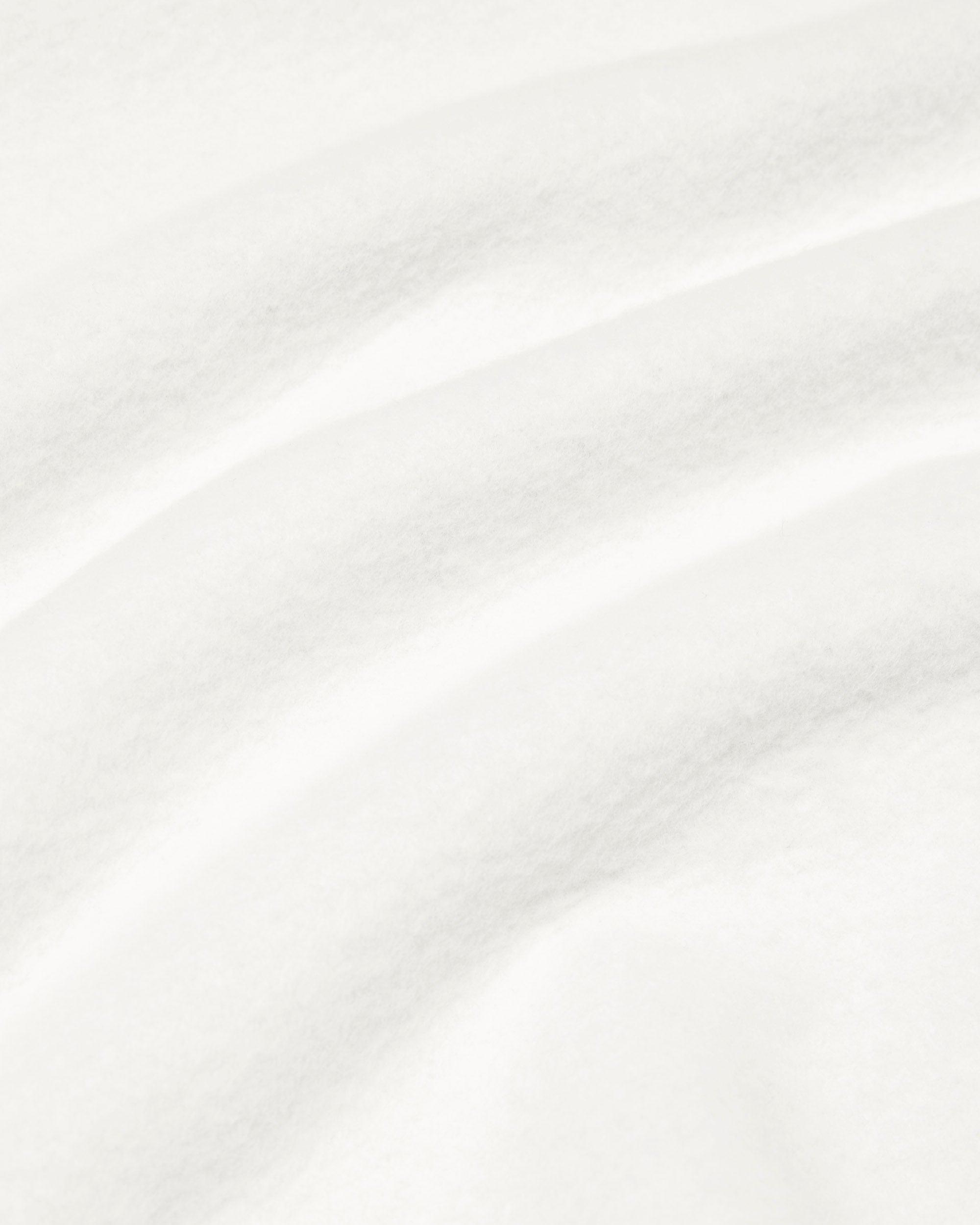 Brushed Fleece '97 Relaxed Hoodie Male Product Image