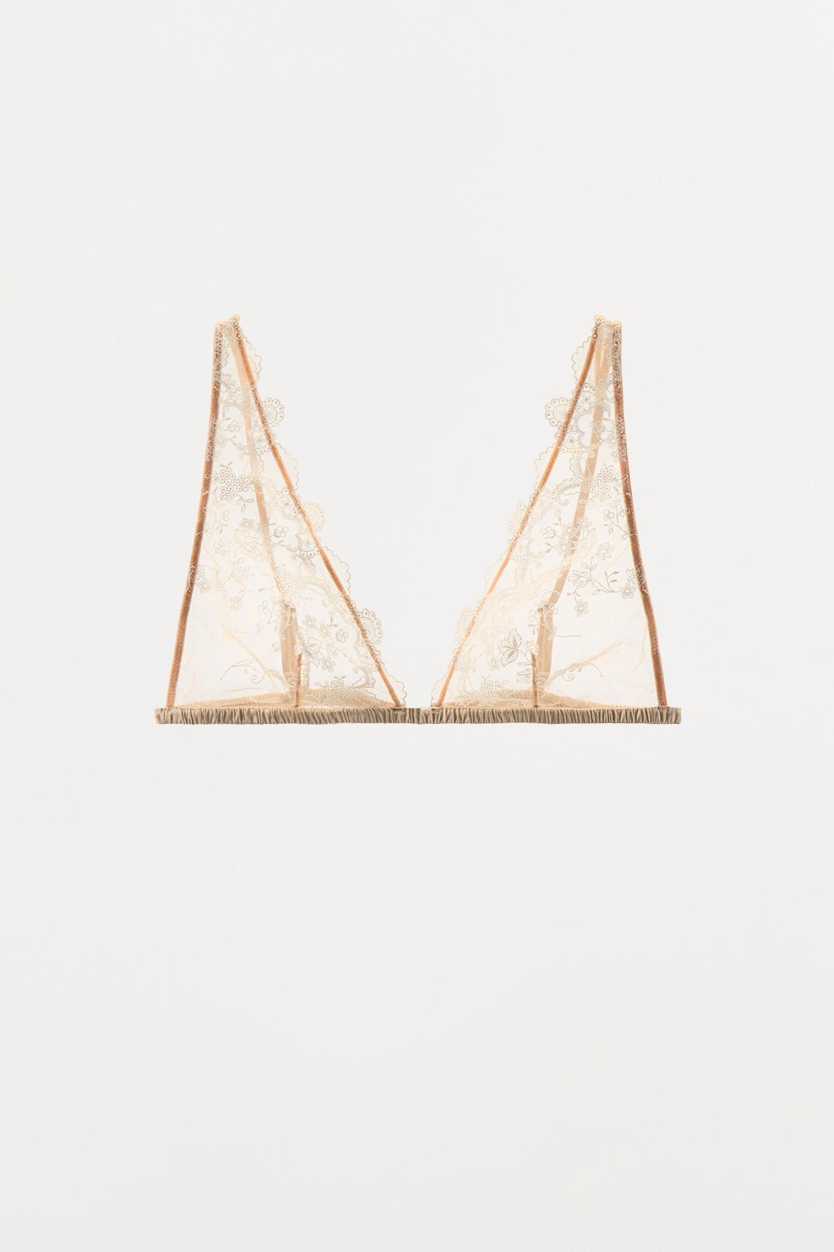 EMBROIDERED MESH PANTIES Product Image