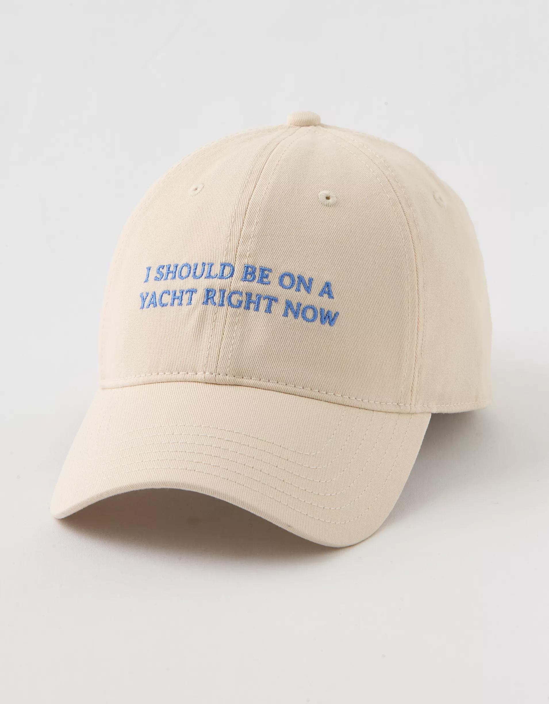 OFFLINE By Aerie Baseball Hat Product Image