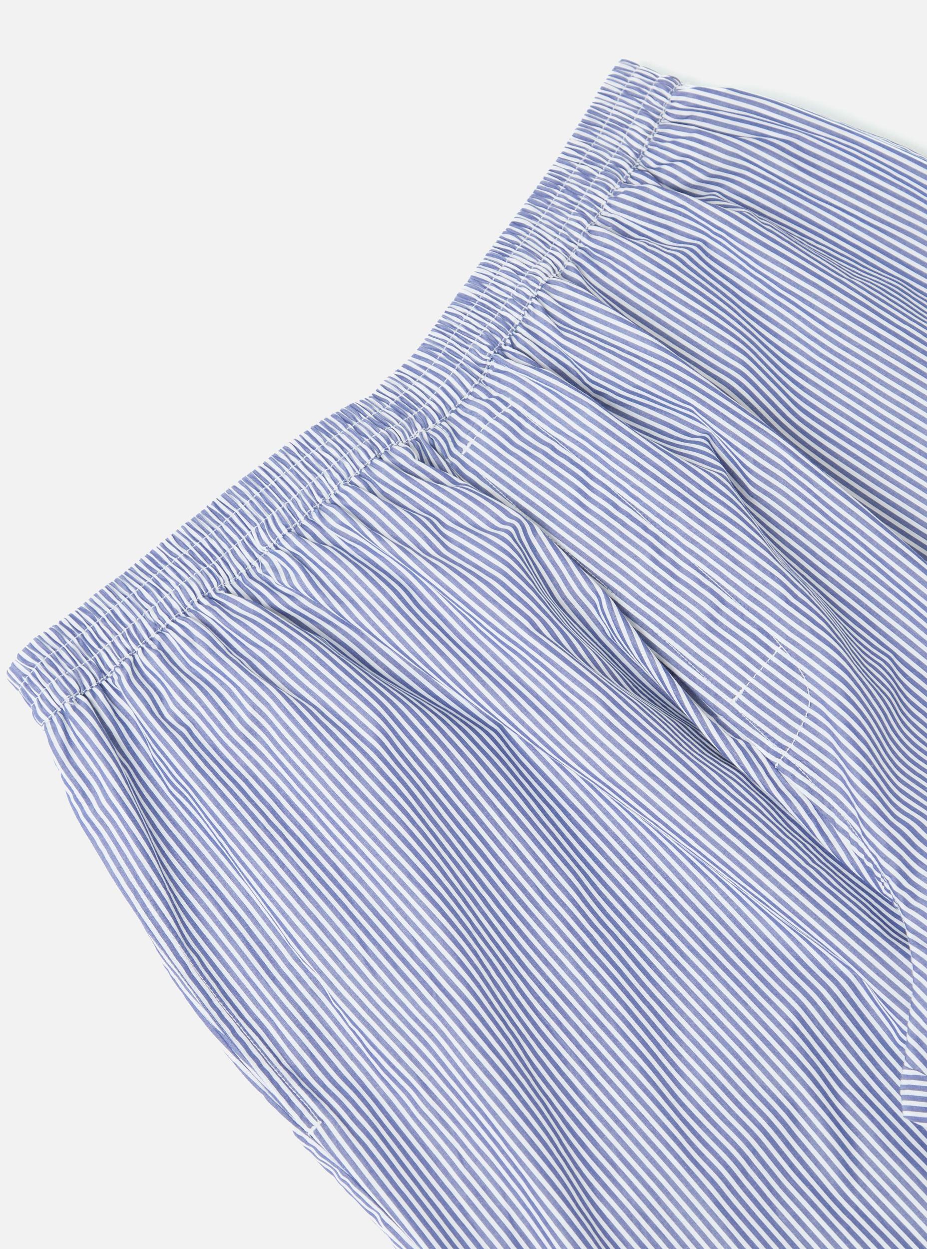 Navy Classic Stripe Pyjama Pant Product Image