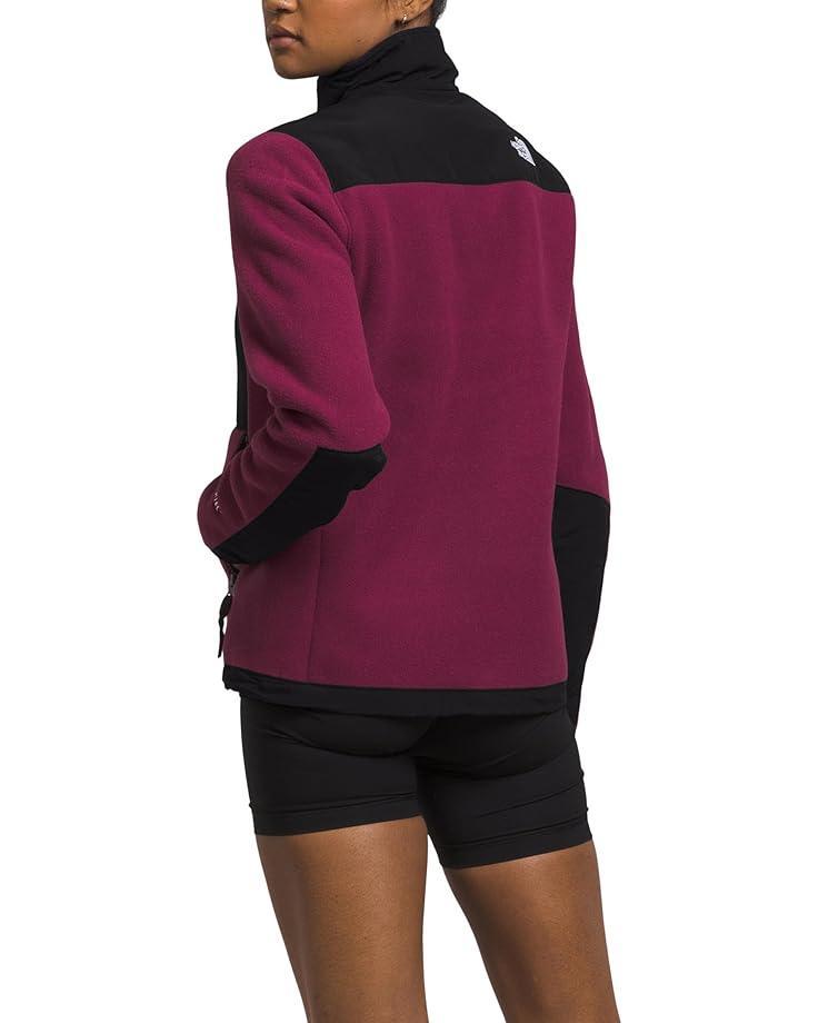 Retro Denali Hoodie Product Image