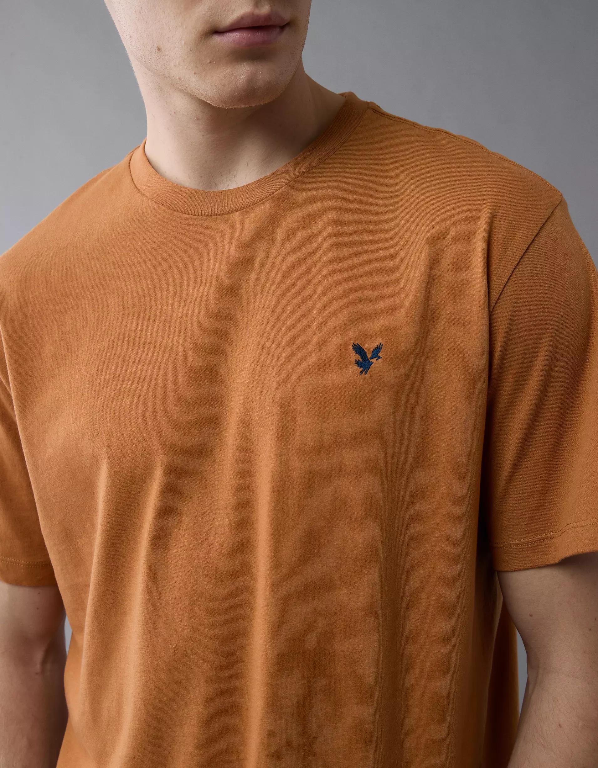 AE Icon T-Shirt Product Image