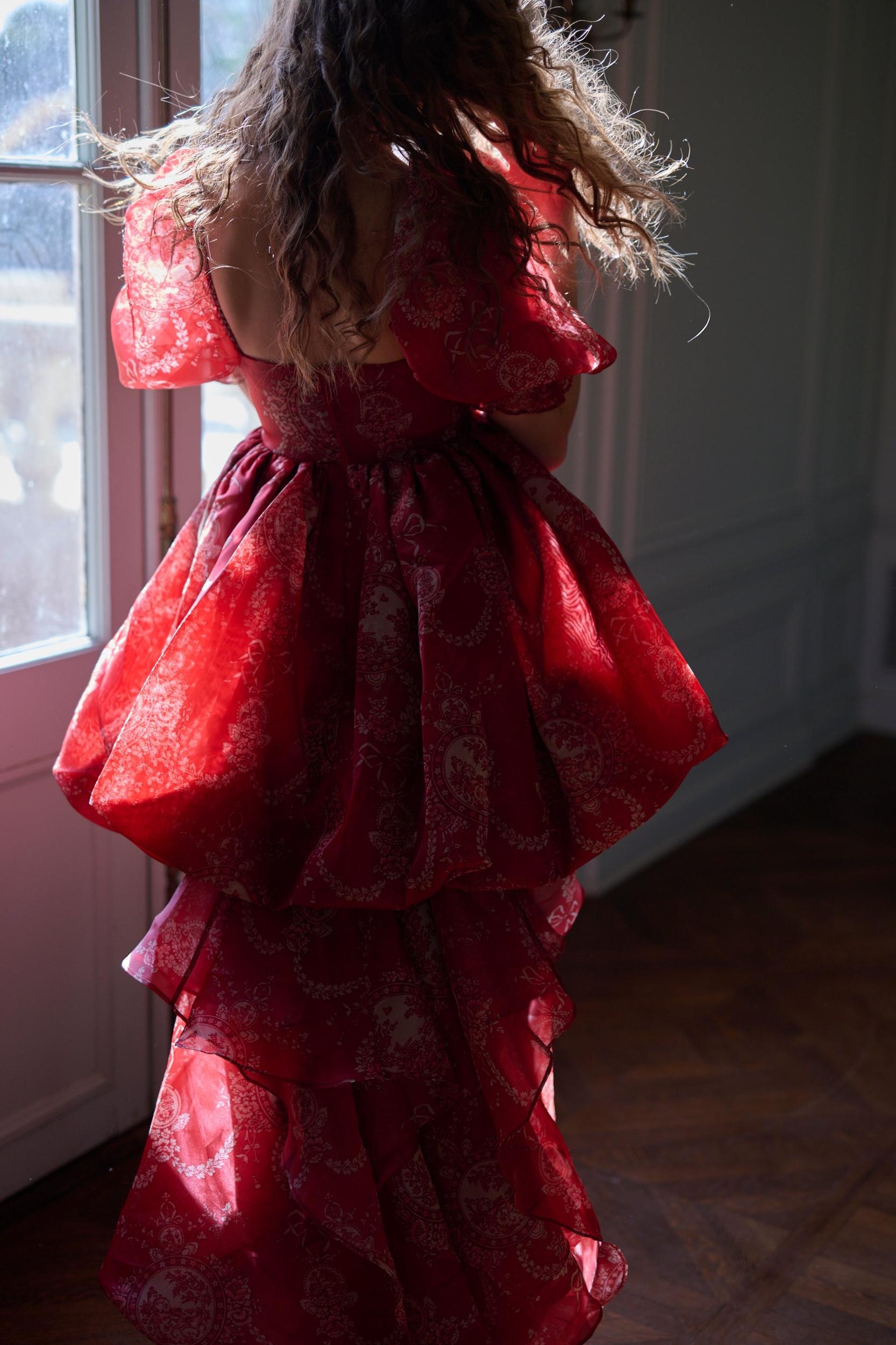 The Ornament Fairytale Gown Product Image