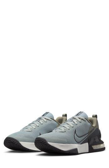 NIKE Air Max Alpha Trainer 6 Training Shoe In Light Silver/dark Stucco/pure Platinum/anthracite Product Image