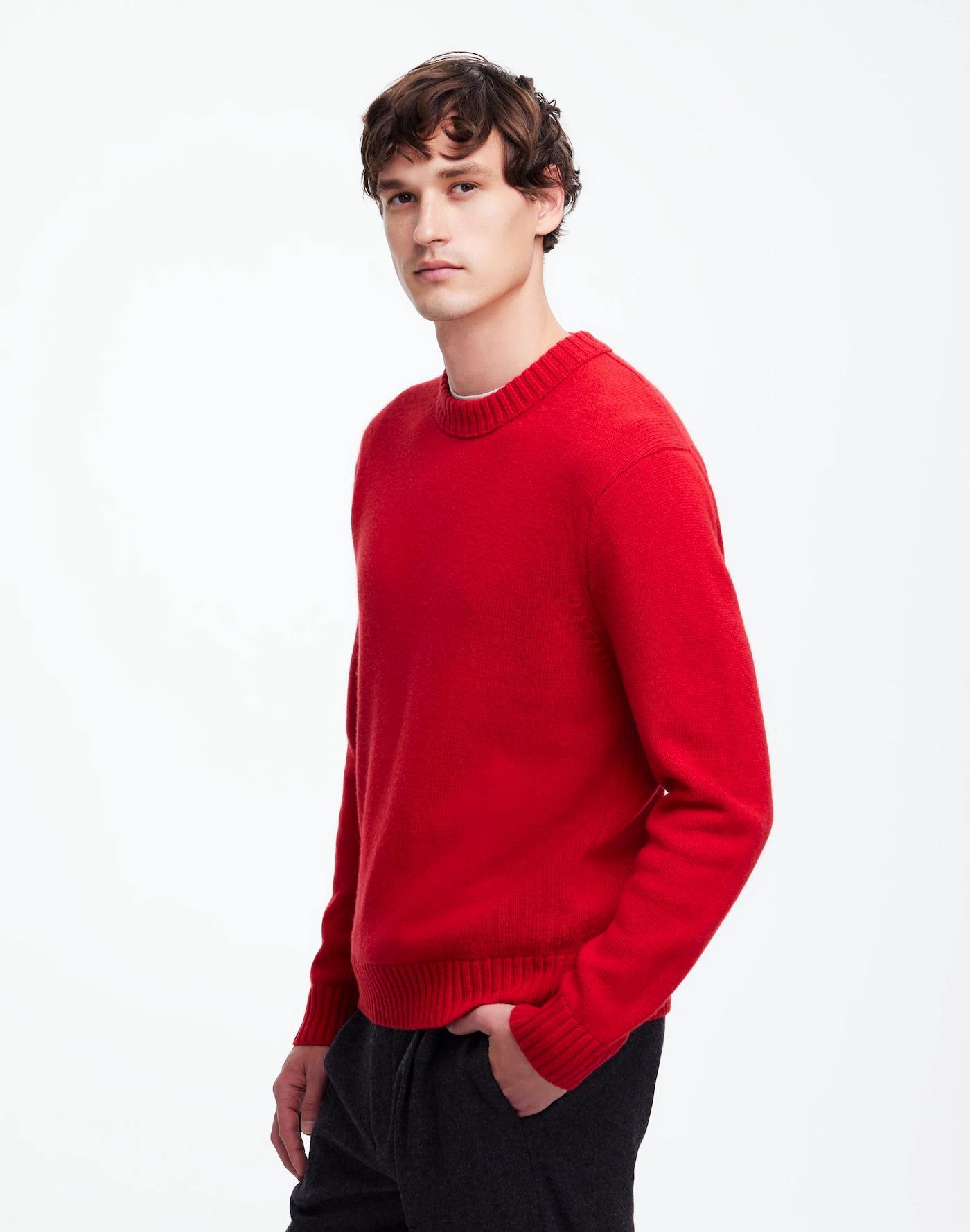 Crewneck Sweater in SoftWool Product Image