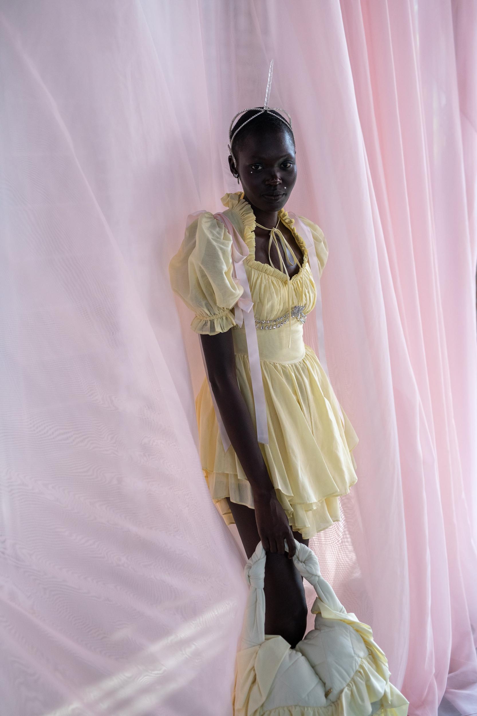 The Twinkie Portrait of a Lady Dress Product Image