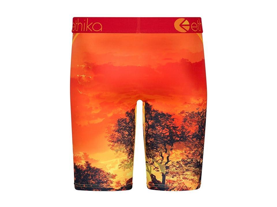 ethika Kotj (Red/Yellow) Men's Underwear Product Image