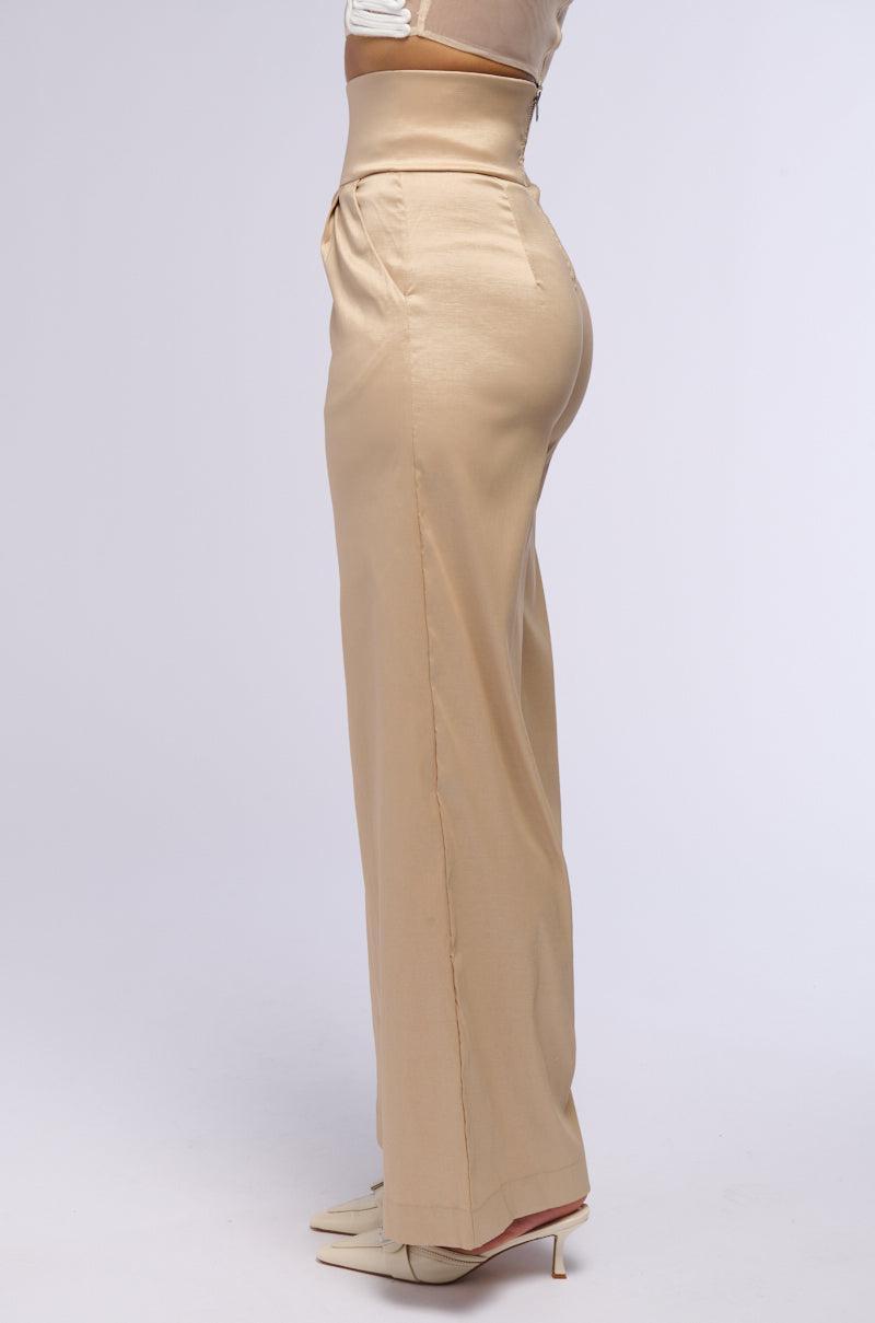 BIG BOOTY HIGH WAIST WIDE LEG TROUSER IN TAUPE Product Image