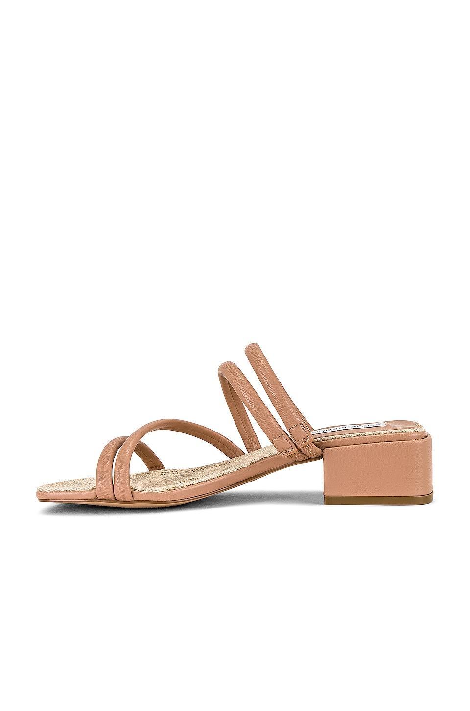 Citizen Sandal Steve Madden Product Image