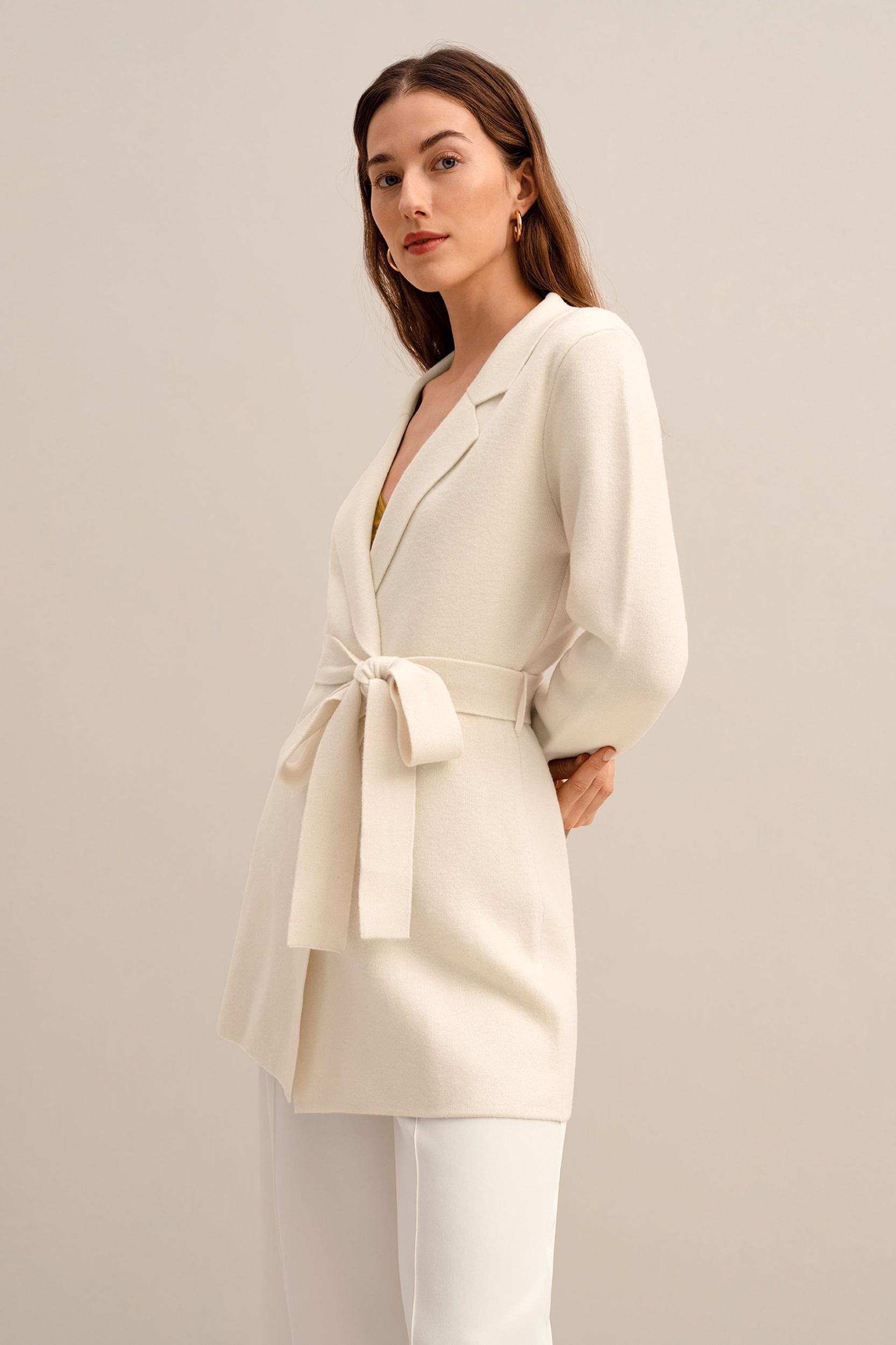 Incana Knit Blazer Product Image