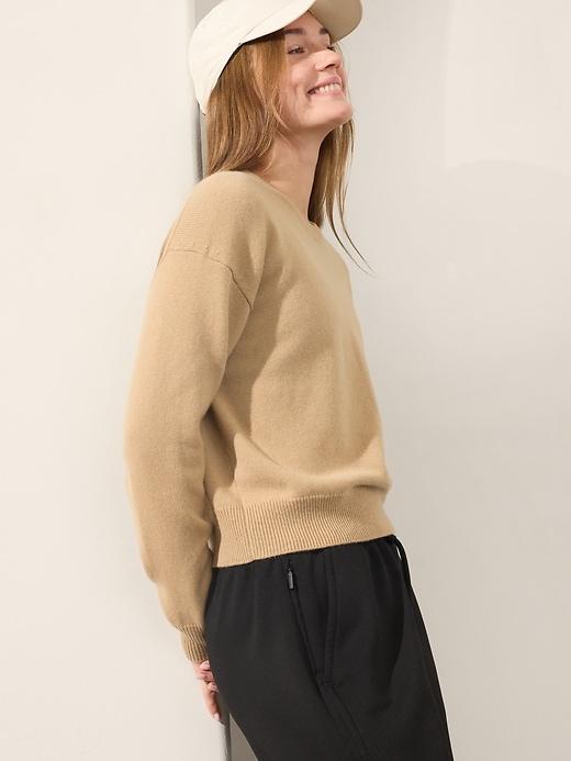 Alpine Crewneck Sweater Product Image