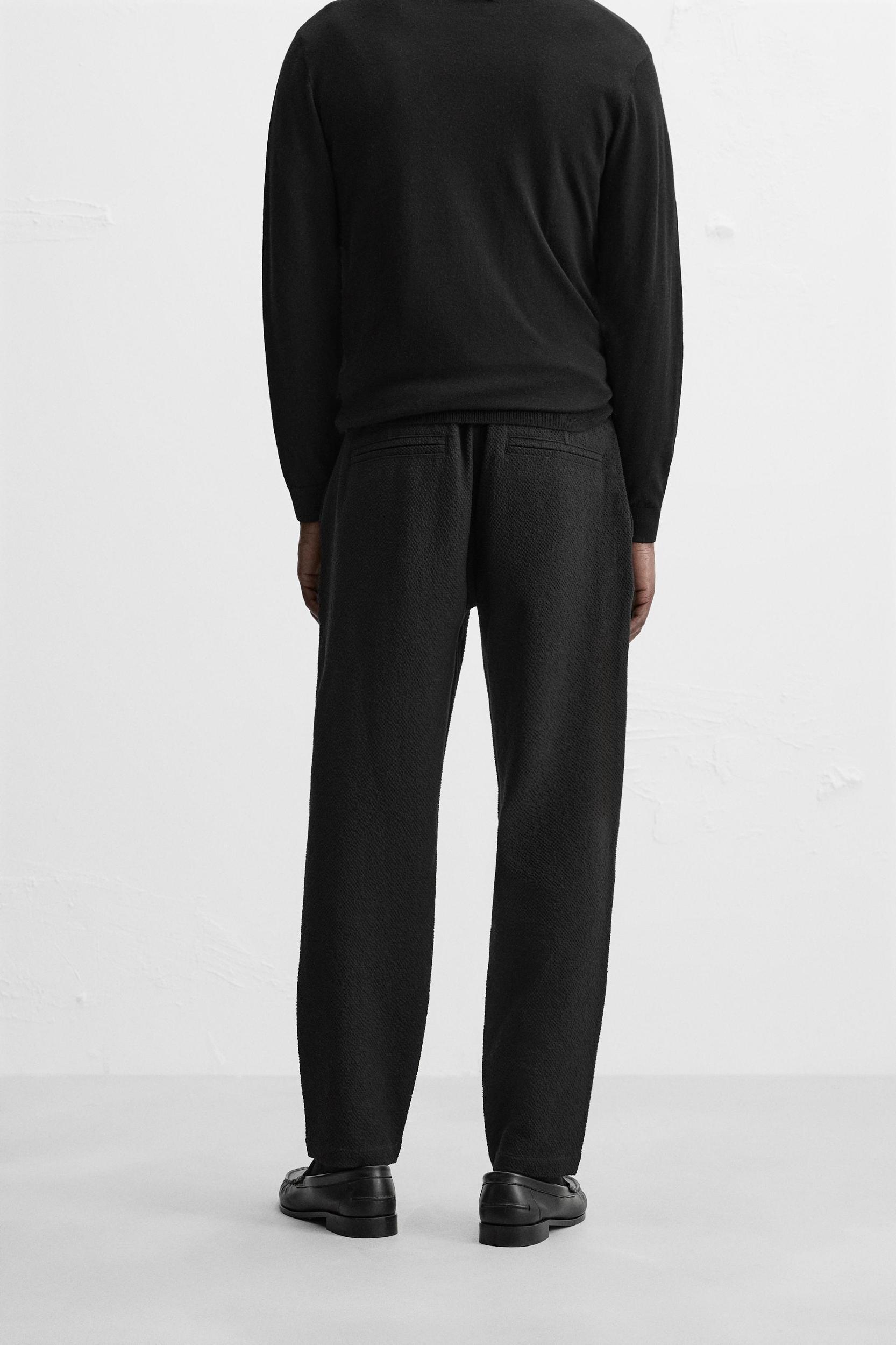 TEXTURED PLEATED PANTS Product Image