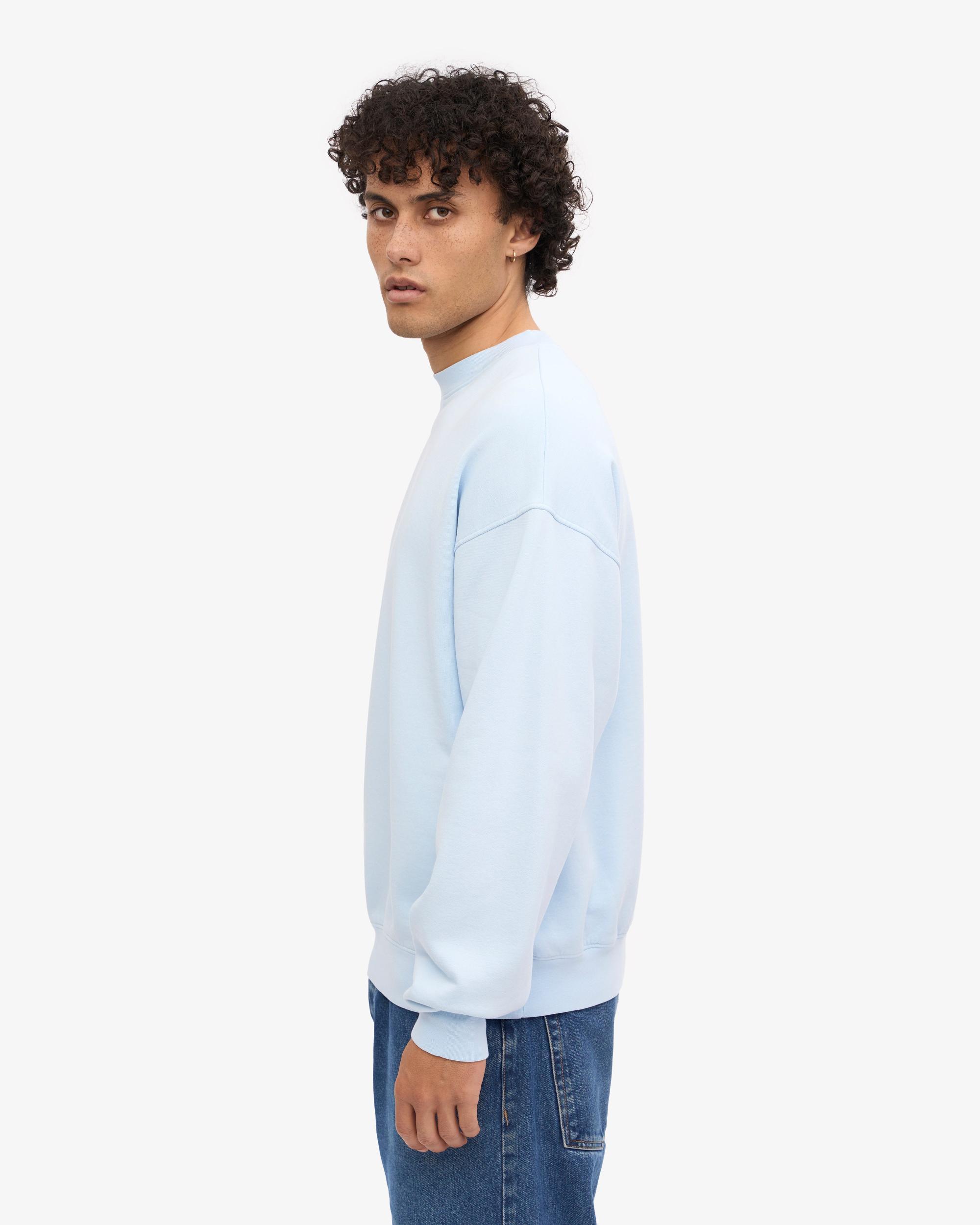 Organic Oversized Crew - Polar Blue Product Image