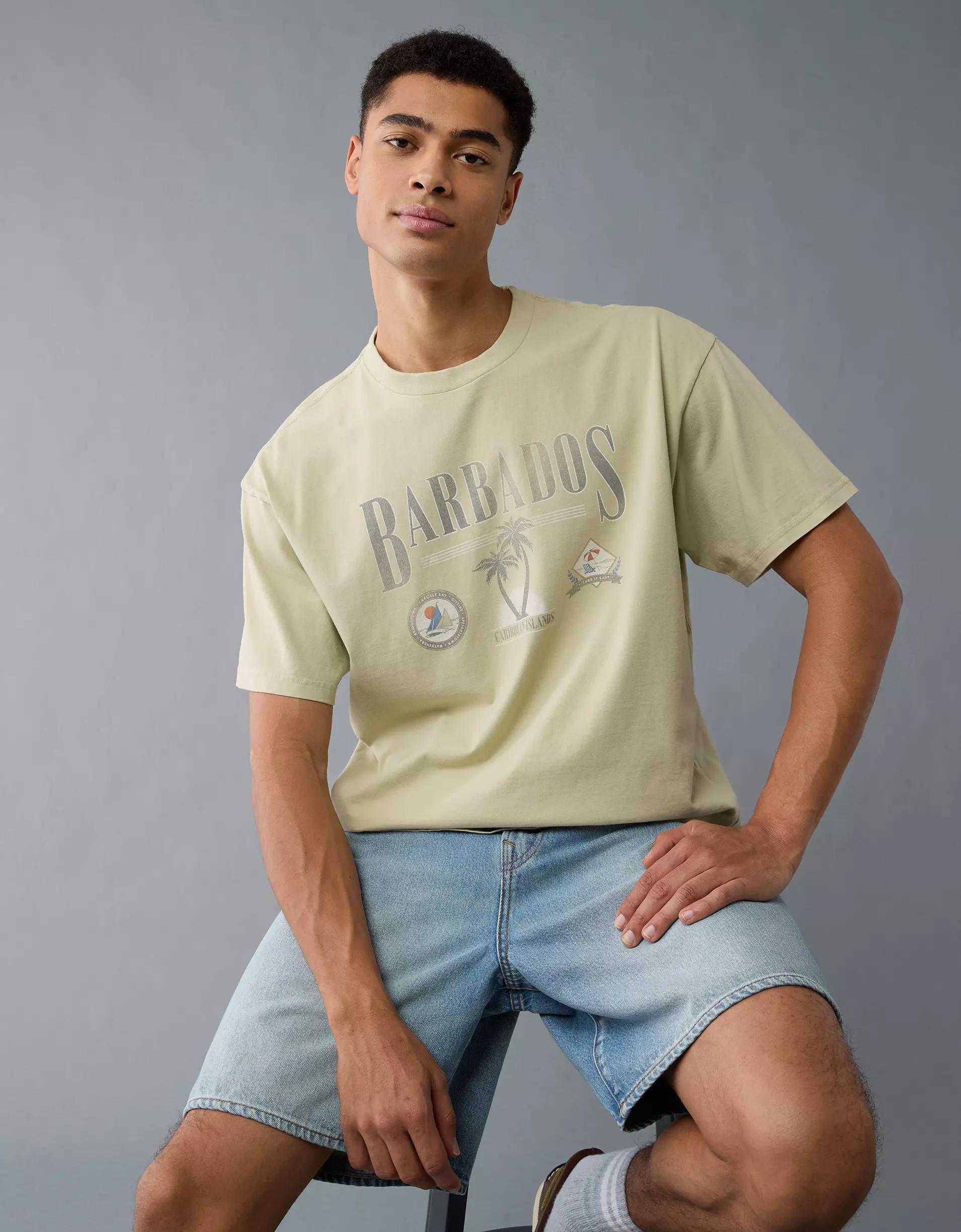 AE Boxy Destination Graphic T-Shirt Product Image