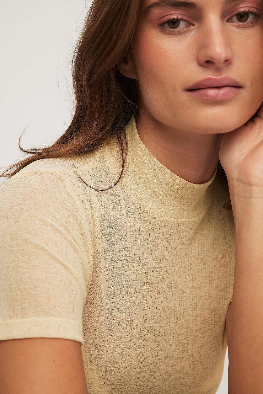 Sheer Short Sleeve Top Product Image