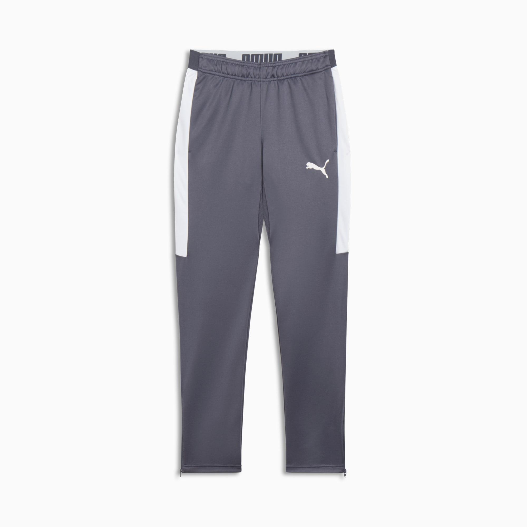 PUMA Speed Men's Pants in Galactic Grey/White Product Image