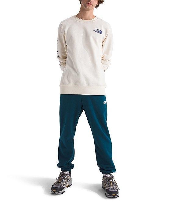 The North Face Core Solid Jogger Pants Product Image