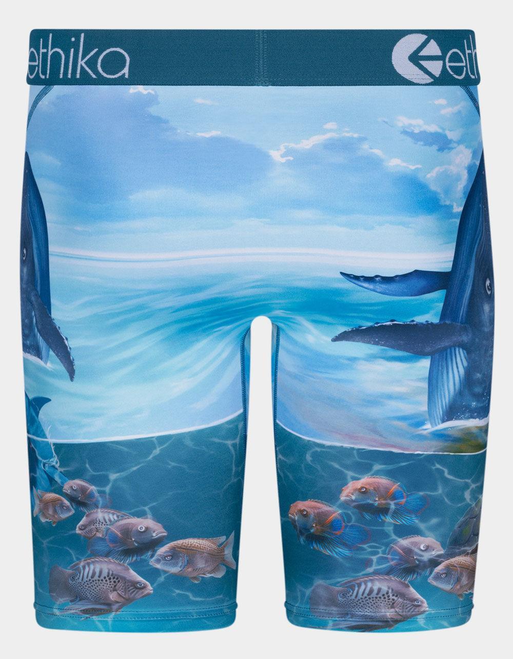 ETHIKA Voyage Staple Mens Boxer Briefs Product Image