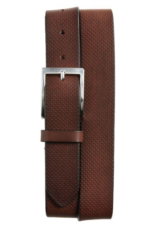 To Boot New York Perf Belt (Dark ) Men's Belts Product Image