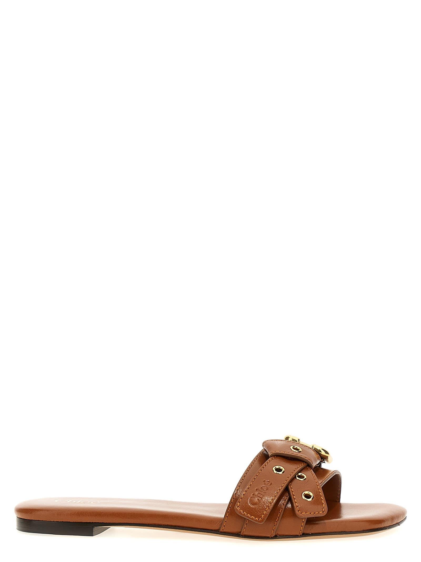 CHLOÉ Mae Leather Buckle Flat Slide Sandals In Brown Product Image