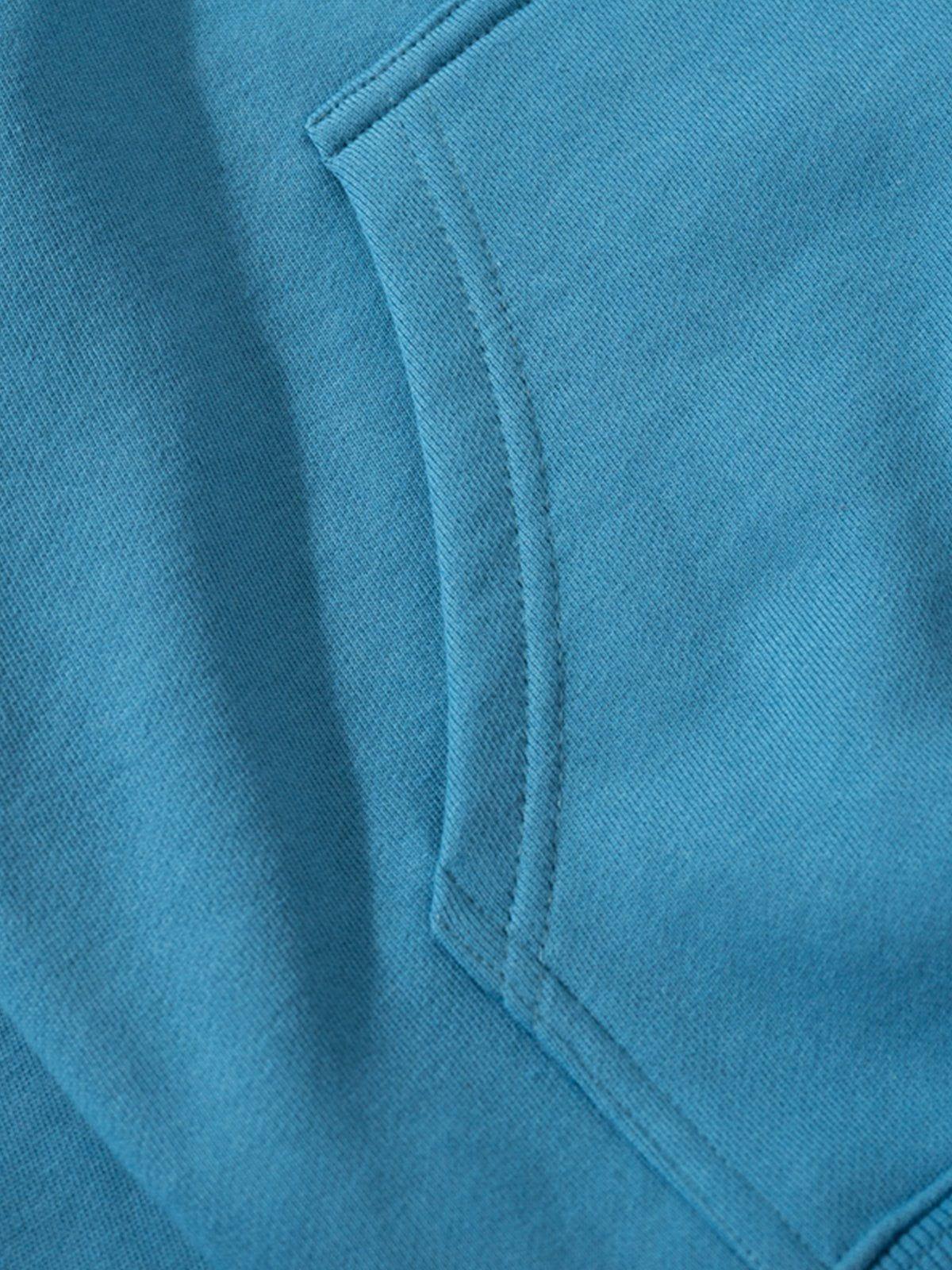 Aelfric Eden Solid Basic Zip Up Hoodie Product Image