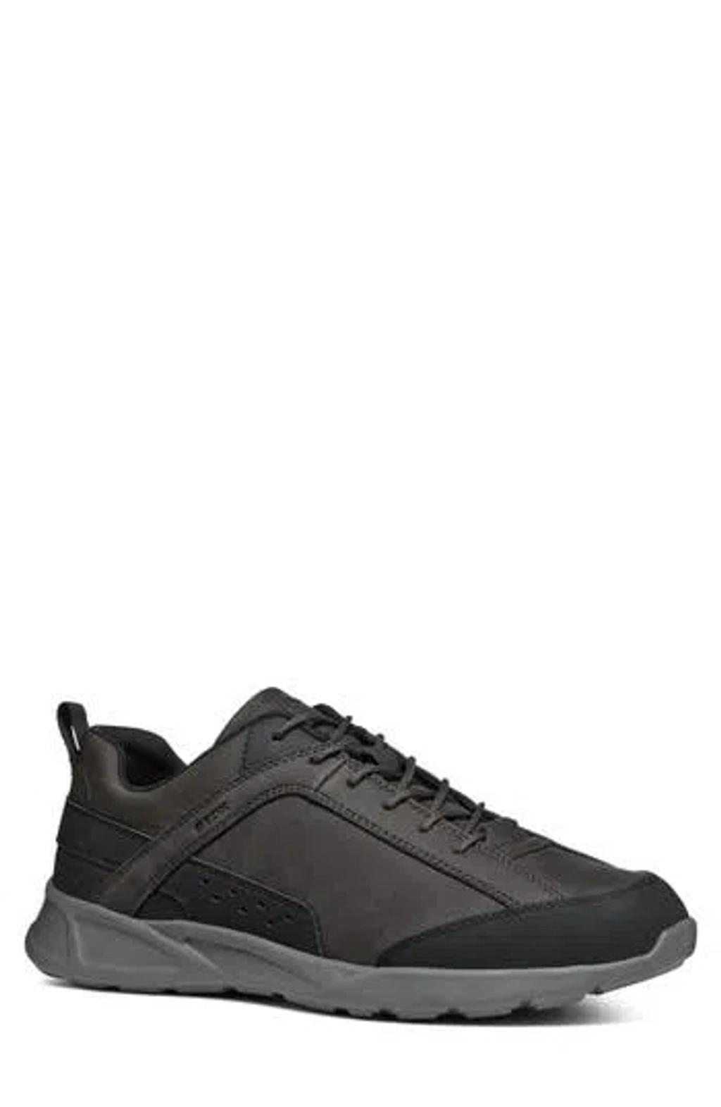 GEOX Sanzio Sneaker In Dark Coffee/black Product Image