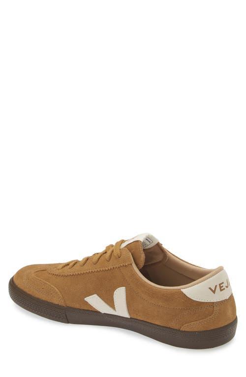 VEJA Volley Sneakers In Tent/natural/eagle Product Image