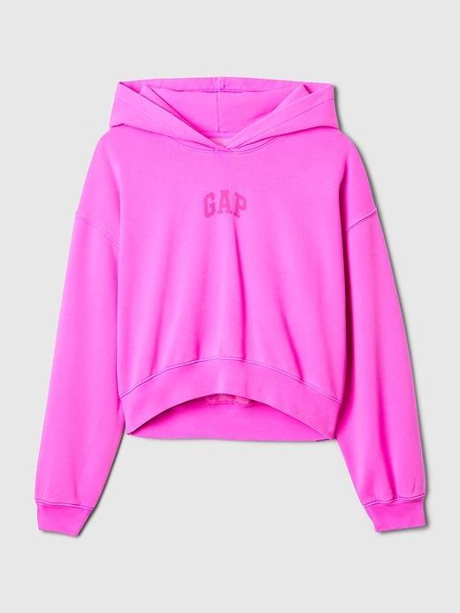 VintageSoft Cropped Hoodie Product Image