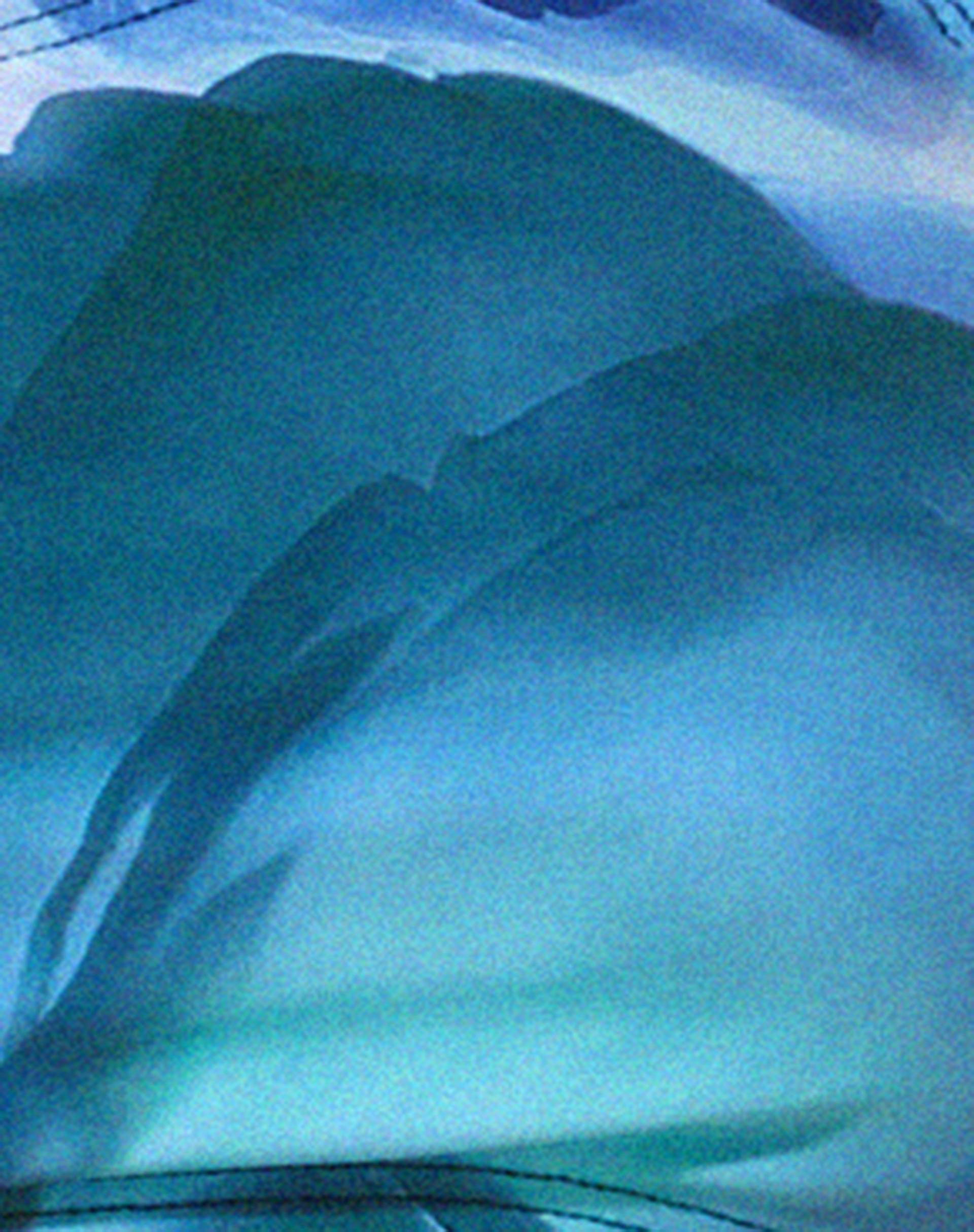 Daty Bikini Top in Abstract Floral Blue Product Image