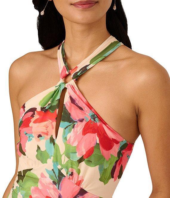 Adrianna Papell Halter Neck Sleeveless Drop Waist Floral Chiffon Midi Dress Product Image