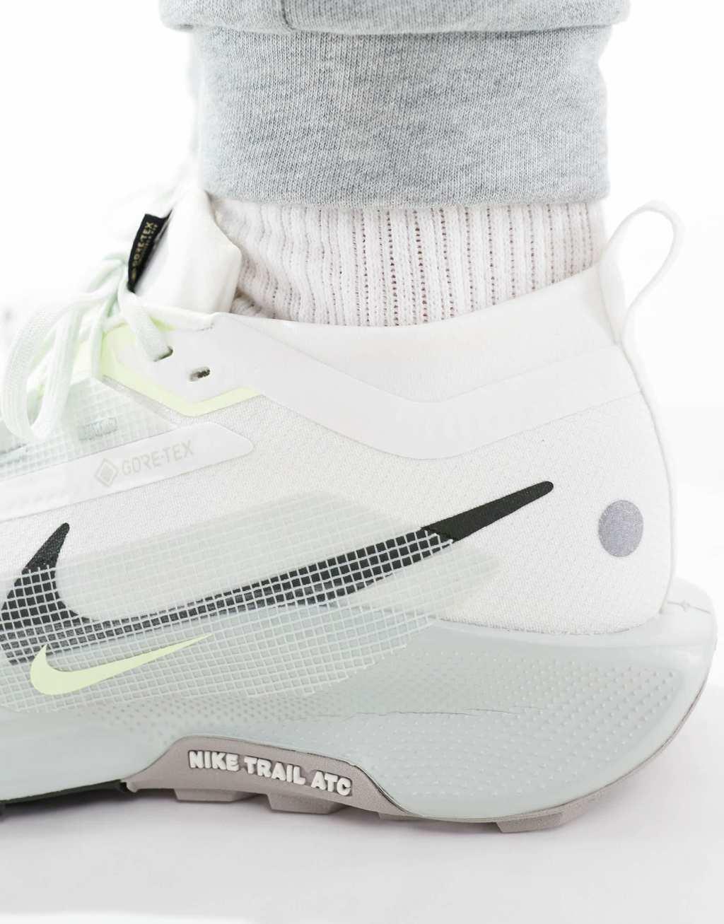 Nike Running Pegasus Trail 5 Gore-Tex sneakers in off white and silver Product Image