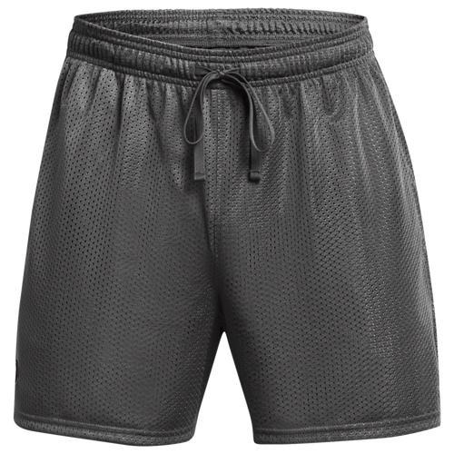 Mens UA Icon Mesh Shorts Product Image