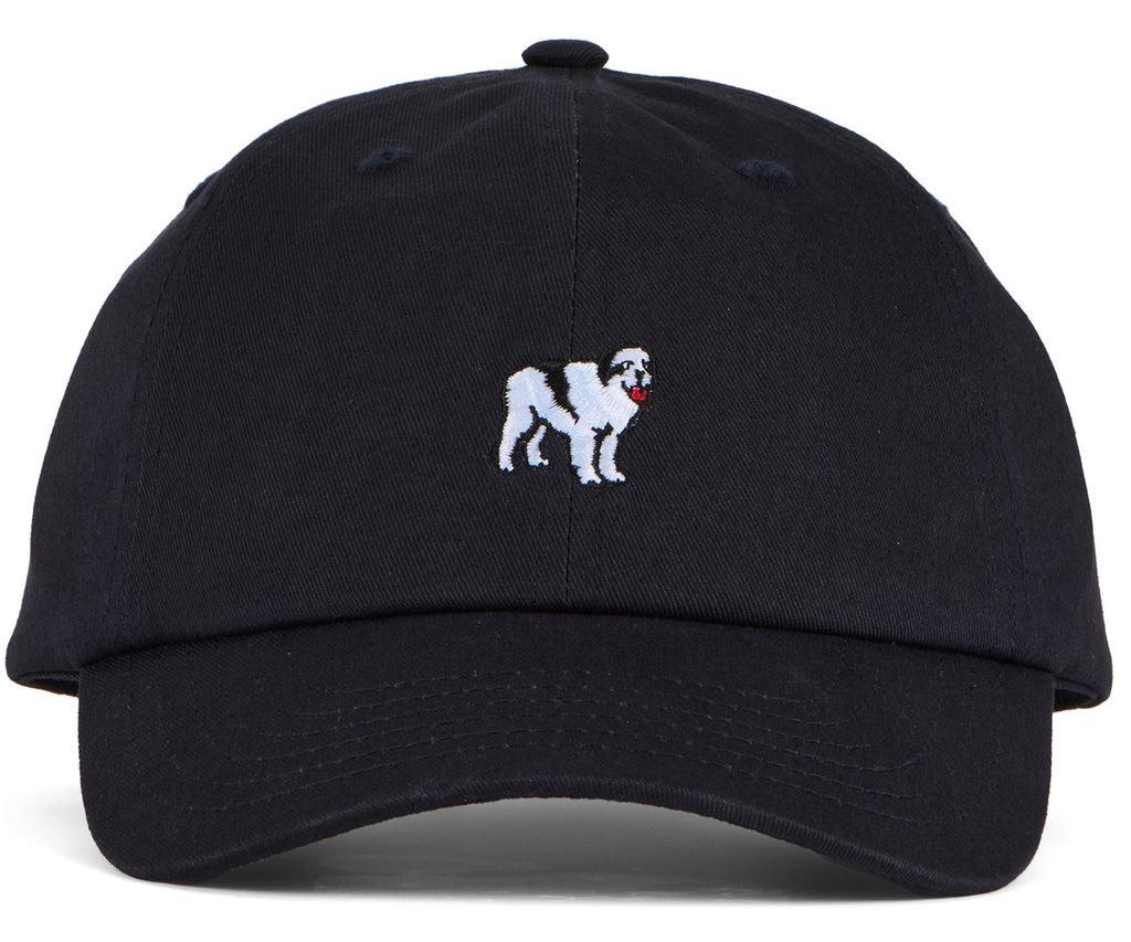 Dog Dad Icon Hat Product Image