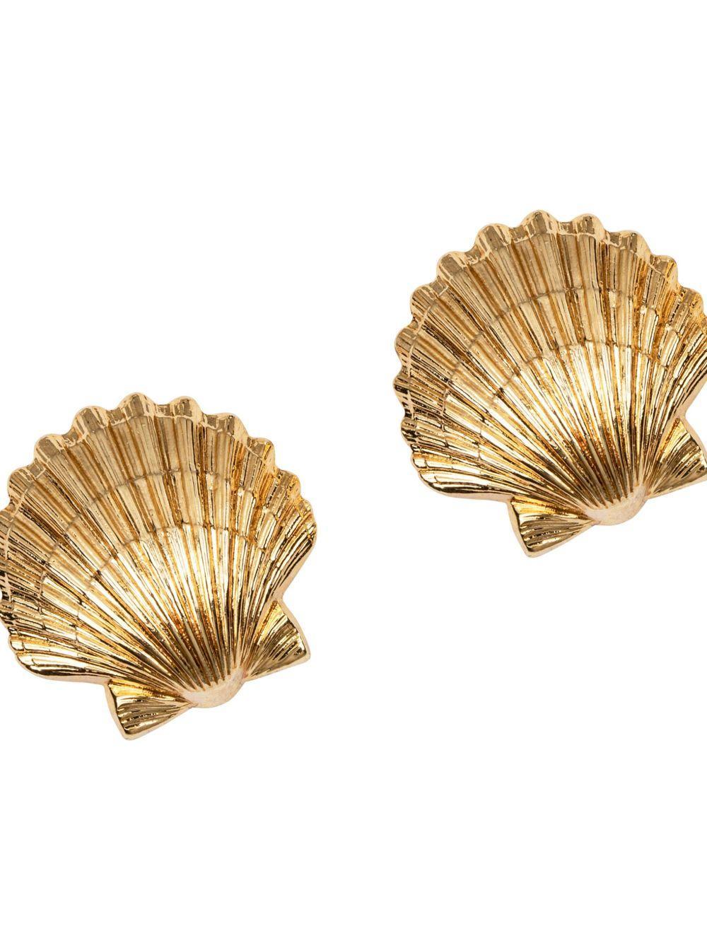 Mar shell earrings  Product Image