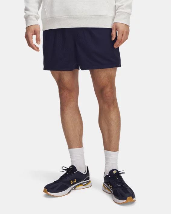 Mens UA Icon Mesh Shorts Product Image