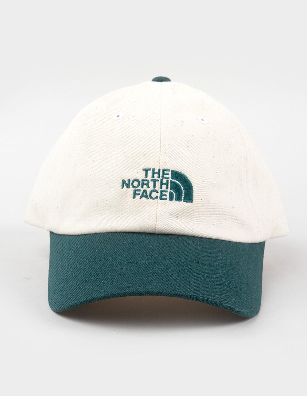 THE NORTH FACE Norm Strapback Hat - GREEN COMBO Product Image