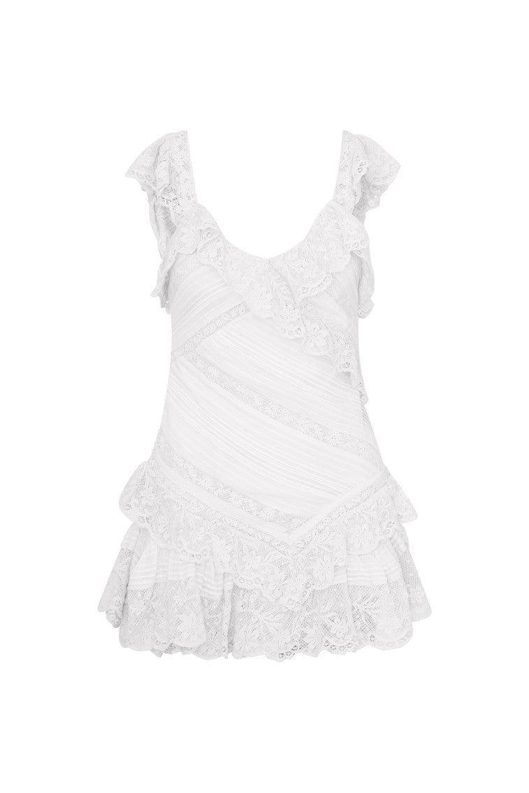 Bensley Fitted Lace Mini Dress Product Image