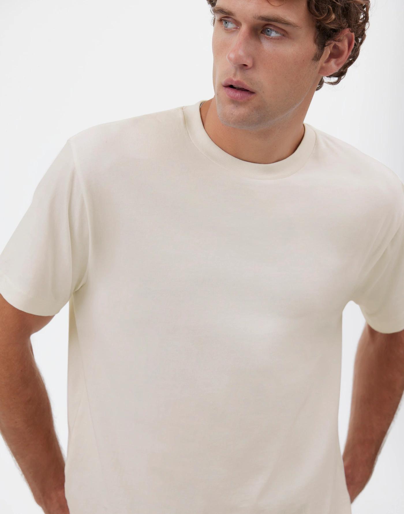 The Vintage Tee Product Image