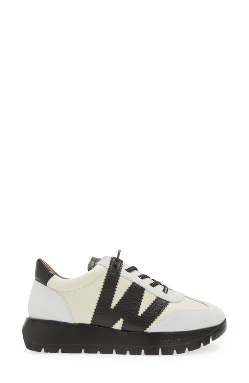 WONDERS Fashion Slip-on Sneaker In White/off White/black Combo Product Image