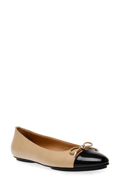 Anne Klein Luci Women's Flat Shoes Product Image