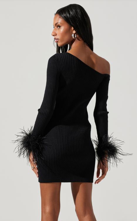 Liz Sweater Feather Dress Product Image