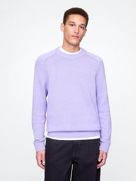 Raglan Crewneck Sweater Product Image