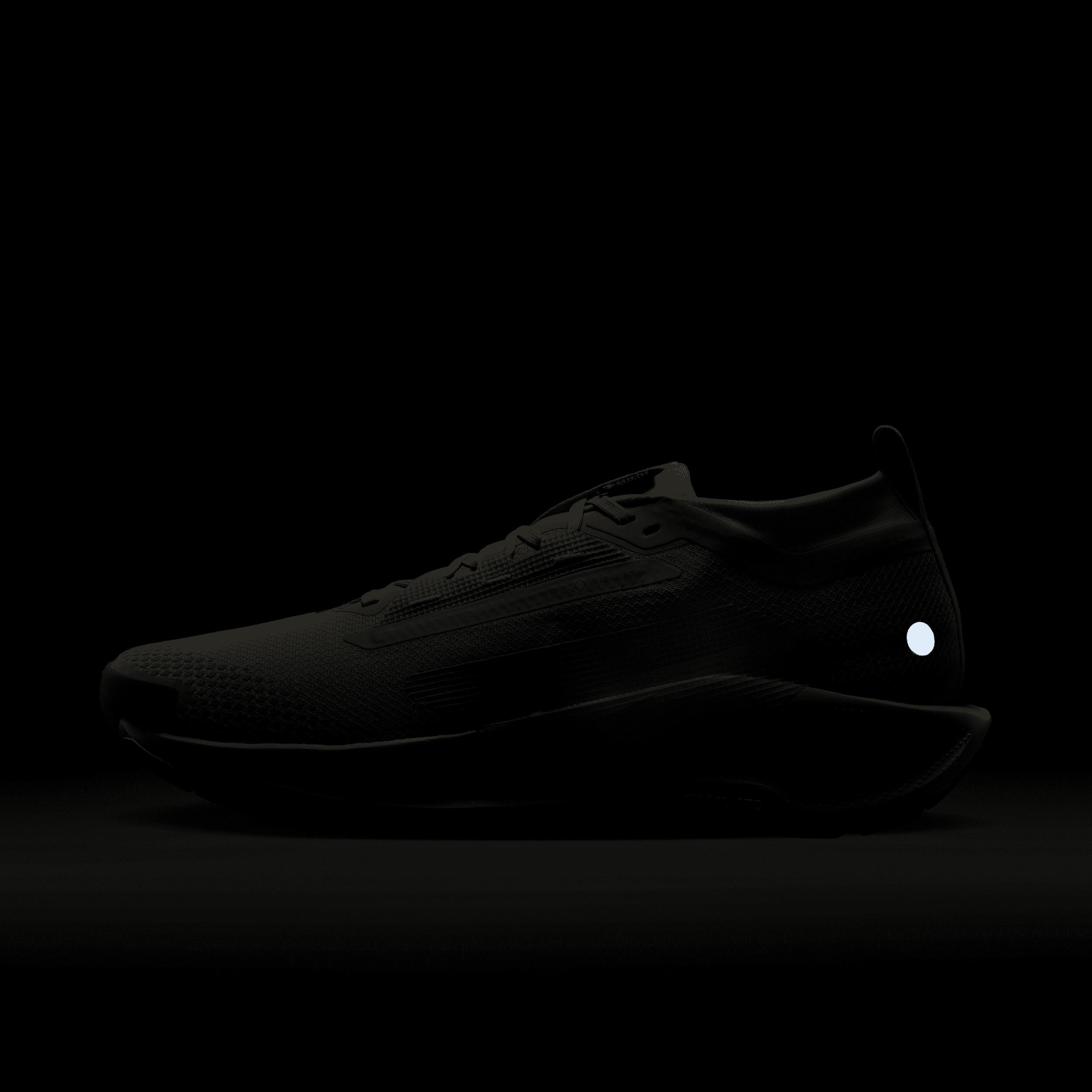 Nike Men's Pegasus Trail 5 GORE-TEX Waterproof Trail Running Shoes Product Image