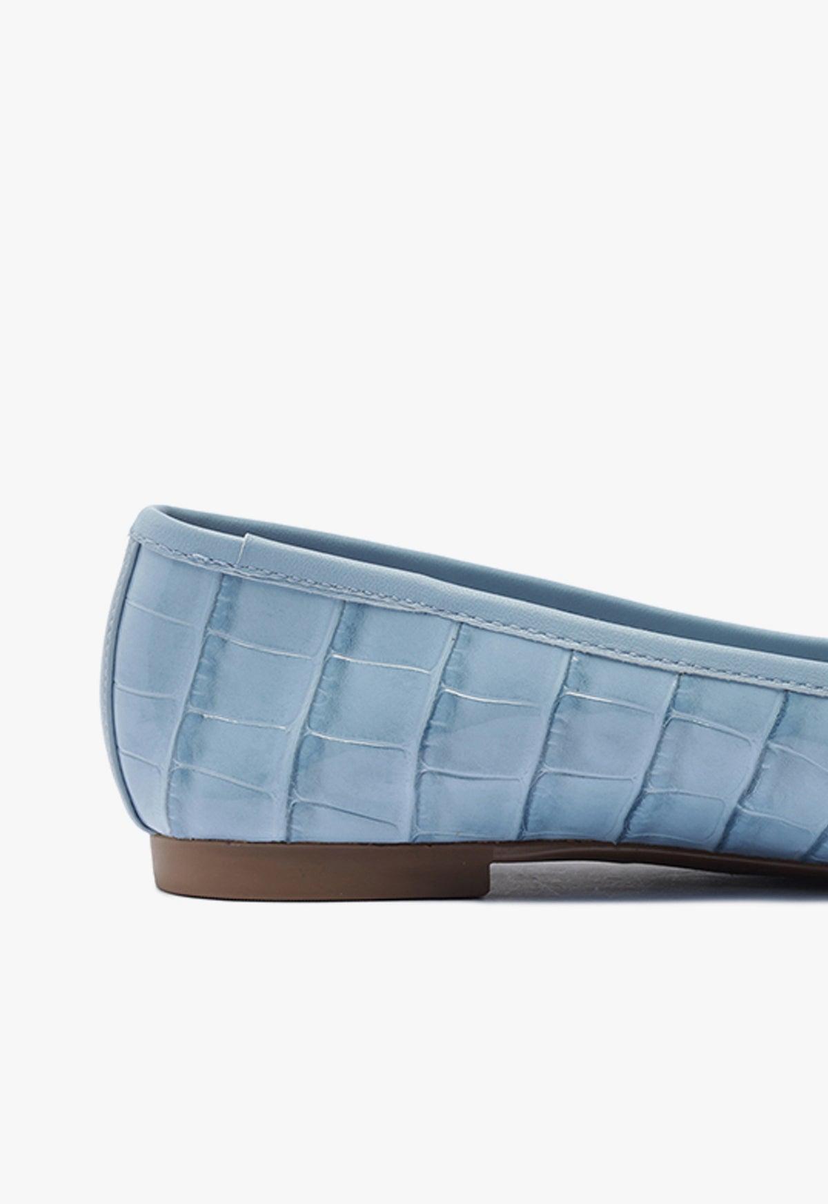 Arissa Ballet Flat Product Image