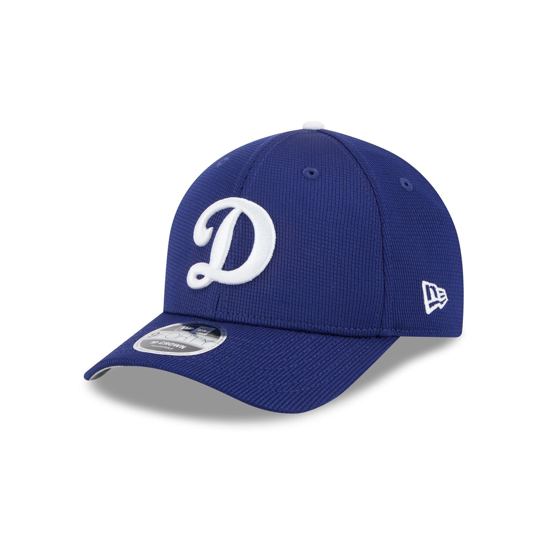 Los Angeles Dodgers 2025 Batting Practice 9FORTY M-Crown Snapback Hat Male Product Image